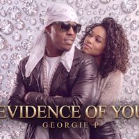 EVIDENCE OF YOU by Georgie P