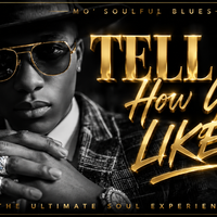 TELL ME HOW YOU LIKE IT by MO' SOULFUL BLUES / JAXON