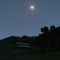 California Waltz by Stratton Vale
