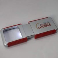 Illumination Light/Magnifying Glass