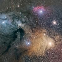 Antares