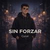SIN FORZAR