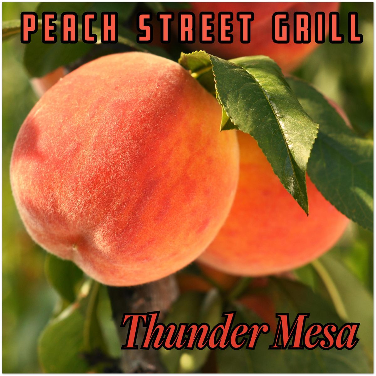 Peach Street Grill - Fine Art Poster