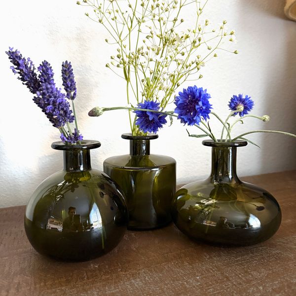 Glass Bud Vase Set