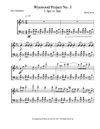 Wynwood Project No.3 for Solo Vibraphone (2023)