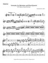 Interplay for Marimba and Wind Quintet (2026)