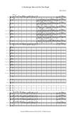Wynwood Project No. 1 for Orchestra