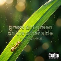 Grass ant Green on the other side (Radio Edit) by Troy Monarch