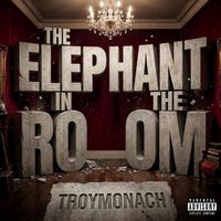 The Elephant in the Room by Troy Monarch