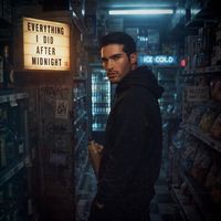 Everything I Did After Midnight by David Malushi