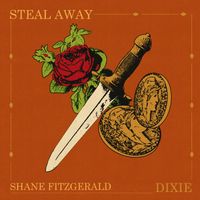 Steal Away/ Dixie by Shane Fitzgerald Band
