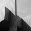 Shareholder Value