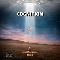 Cognition by Mrozilla