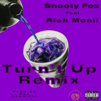 Turn't Up (feat. Rich Monii) by Snooty Fox