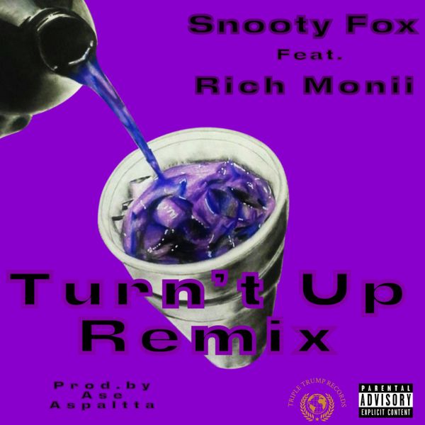 Turn't Up (feat. Rich Monii)