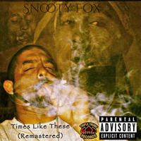 Times Like These (Remastered) by Snooty Fox