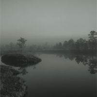 Documentary & Ambient