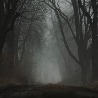 Dark & Psychological