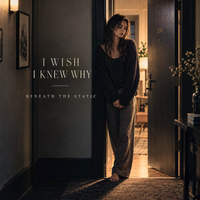 I Wish I Knew Why by Beneath The Static