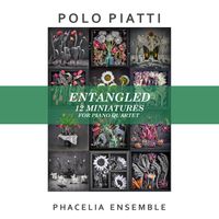 ENTANGLED 12 Miniatures for Piano Quartet by Polo Piatti