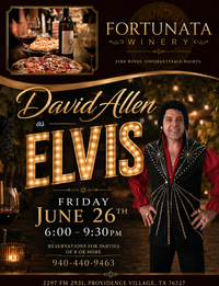 David Allen as Elvis