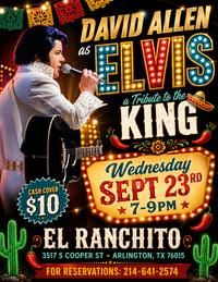 David Allen as ELVIS
