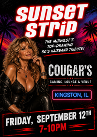 Cougar's Gaming Lounge