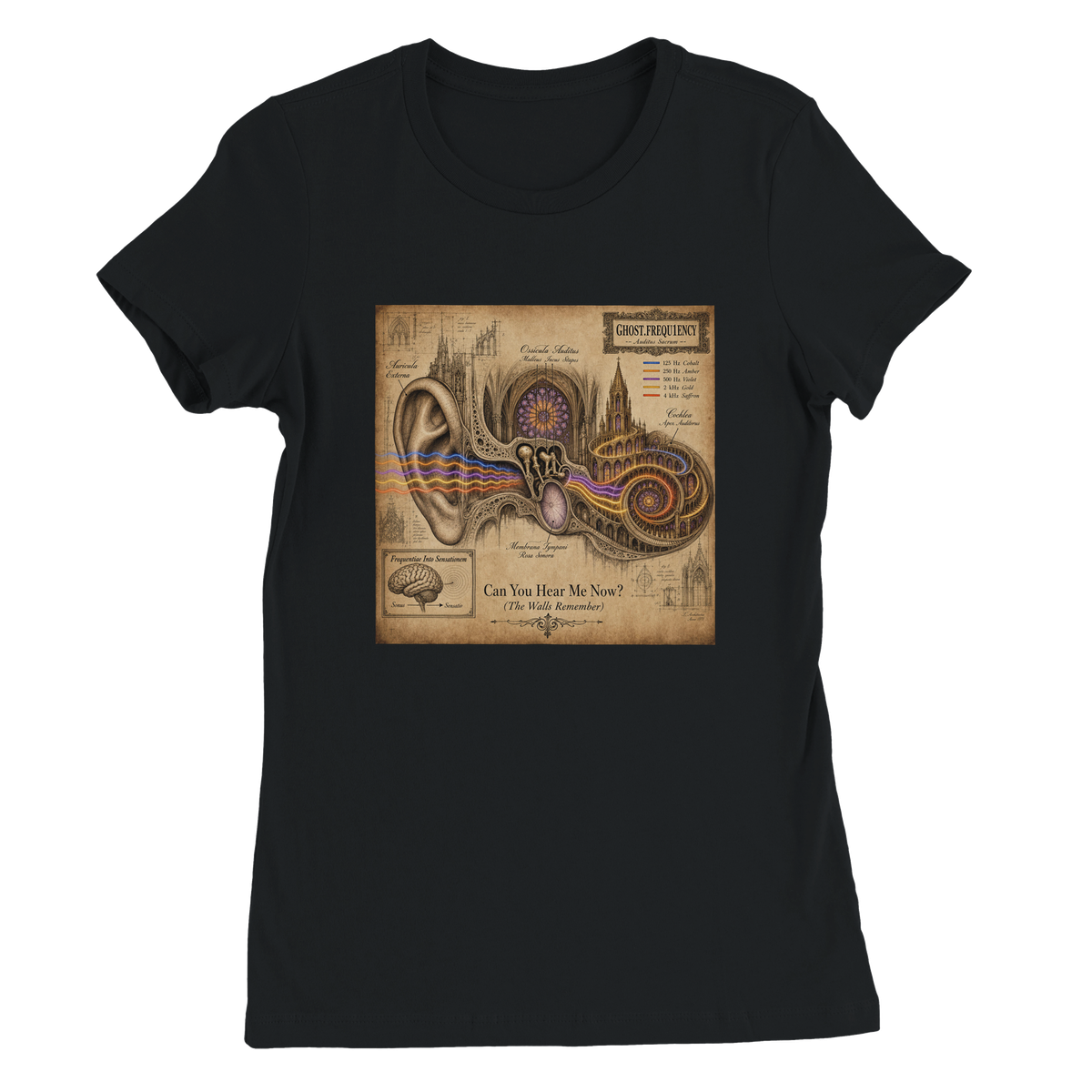 Can You Hear Me Now? (The Walls Remember) - Women’s Cut T-Shirt