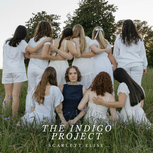 The Indigo Project - The Indigo Project Vinyl