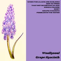 Grape Hyacinth by Woollysoul