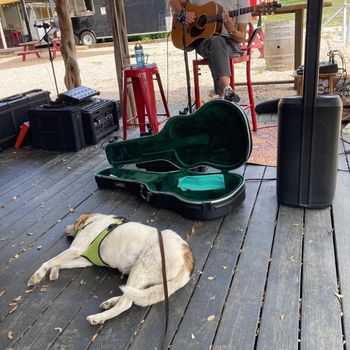Elli at Vinovium Winery Gig - April 2024

