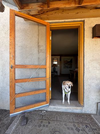 Elli in Marfa - March 2025
