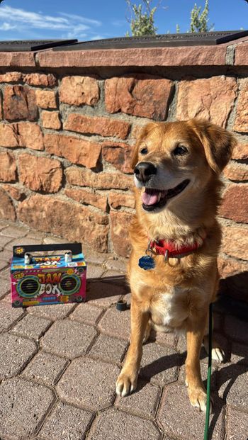 Toots loves to jam, y'all!
