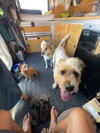 Brisket, Lolis & Elli on the East Cape - February 2024
