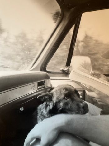 Wolfgang on Tour early 90s prob somewhere in Arkansas
