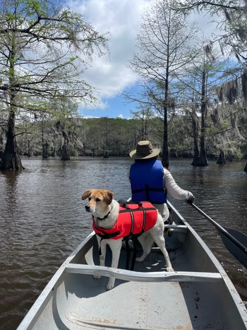 Elli on Caddo Lake - April 2022
