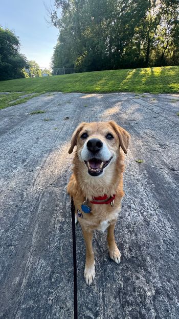 Tootsie & The Glacial Grooves, Ohio - July 2026
