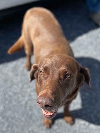 Phoebe in Charlotte - September 2021
