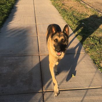 Gunnar in Marfa - October 2020
