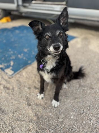 Missy on the East Cape - February 2025
