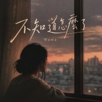 不知道怎麼了 by Wawa