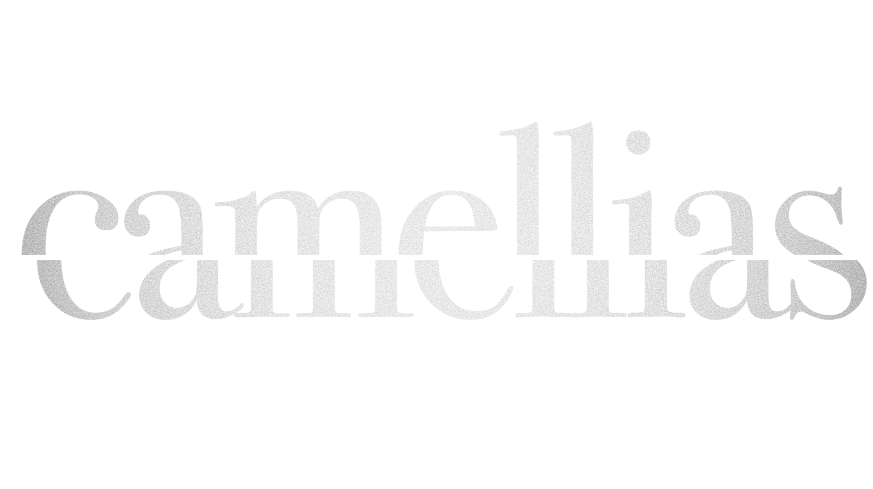 Camellias