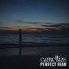 Perfect Fear