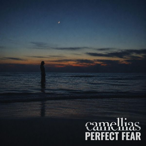 Perfect Fear