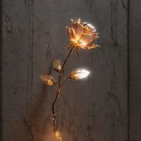 The Rose On The Vine by Alford Collins