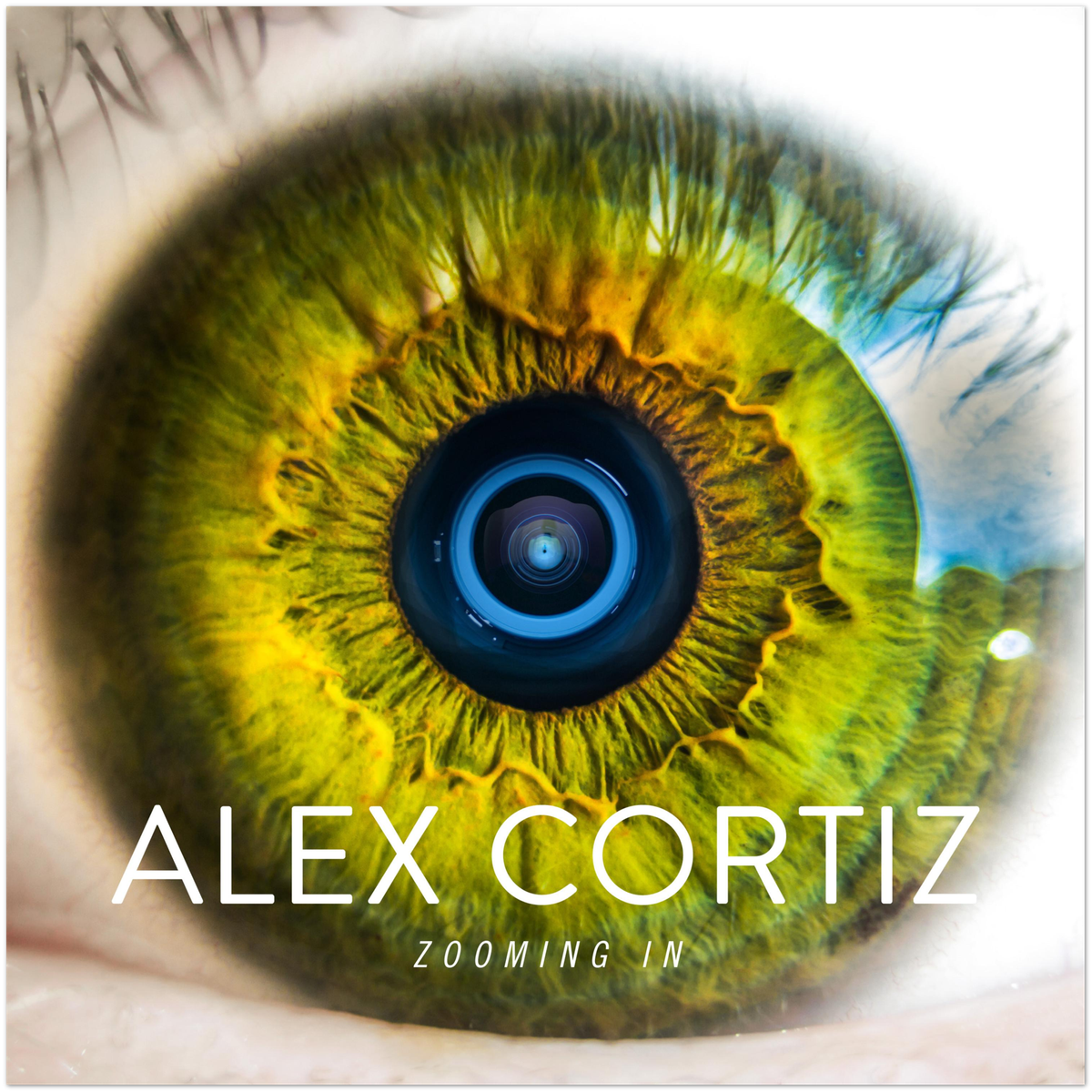 Zooming In - Fine Art Poster