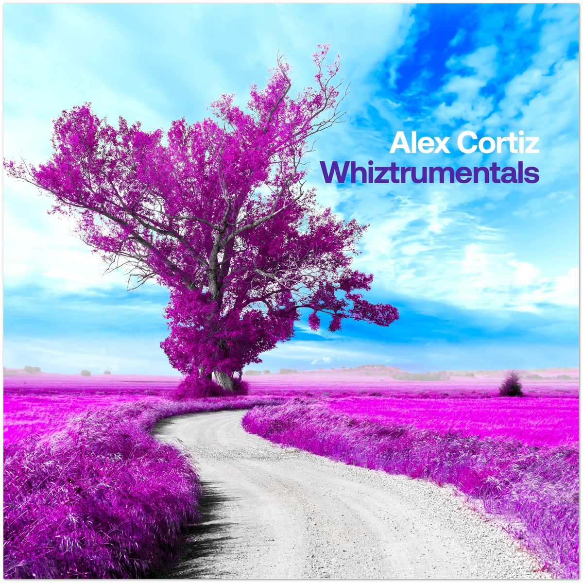 Whiztrumentals - Fine Art Poster