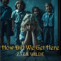 How Did We Get Here by Zara Wilde