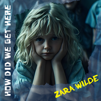 How Did We Get Here by Zara Wilde
