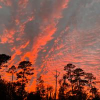 TangerineSky by Tangerine Sky Project
